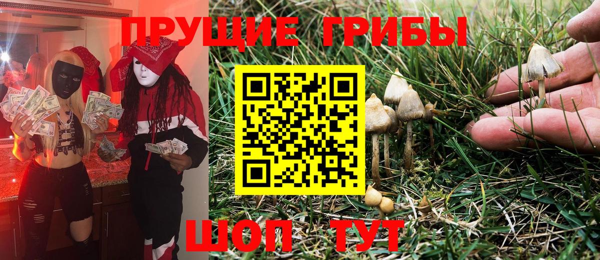 Псилоцибиновые грибы Cubensis  Вход с VPN  Новодвинск 